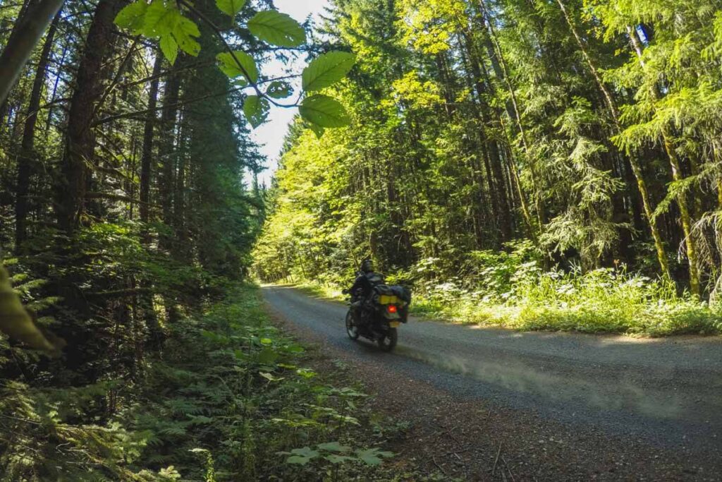 Riding down a gravel road on my KLR motorcycle in dense forest. 